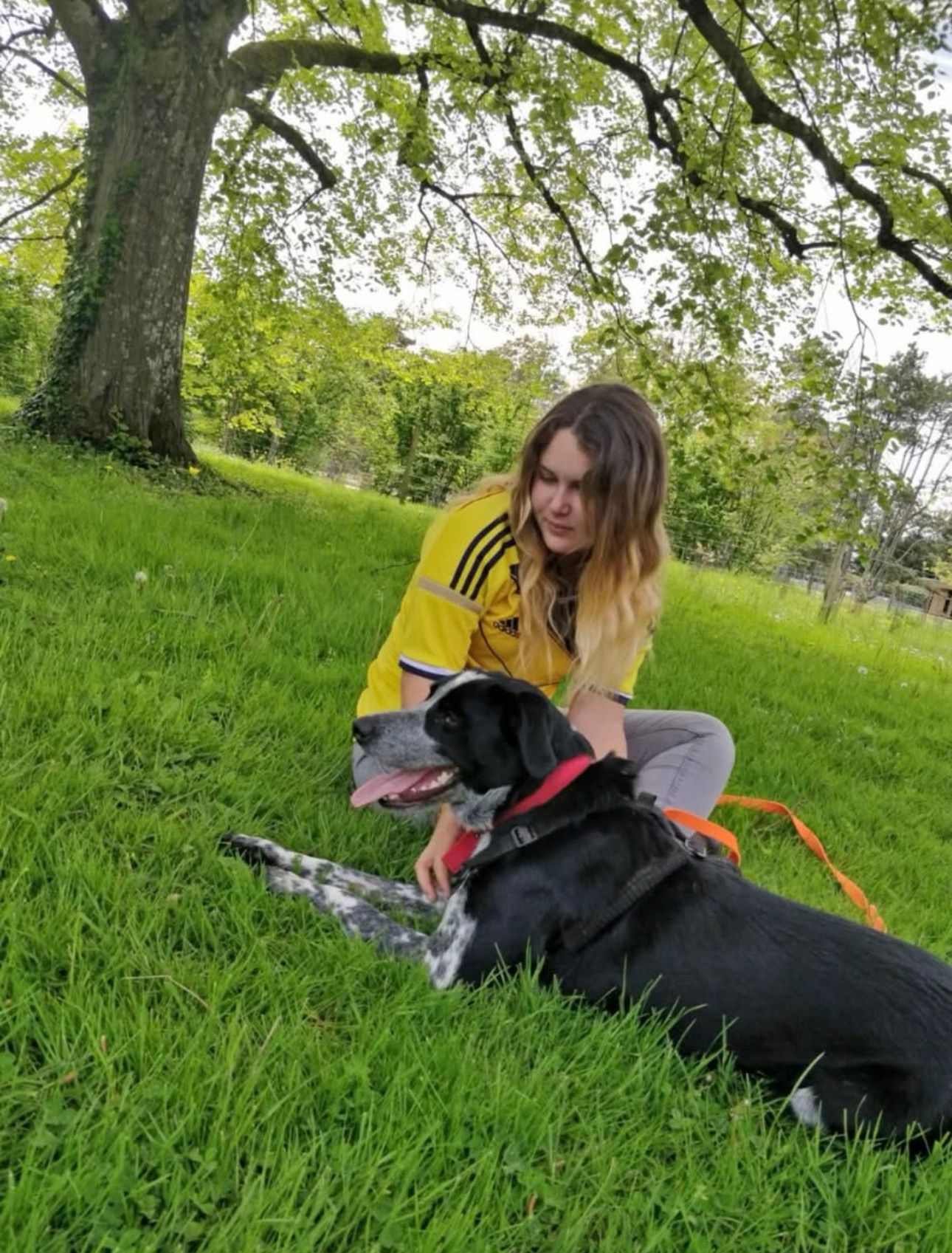 Un chien et moi